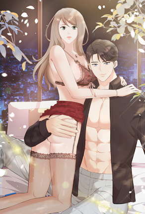 钢之炼金术师 封面